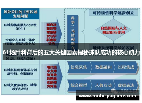 61场胜利背后的五大关键因素揭秘球队成功的核心动力
