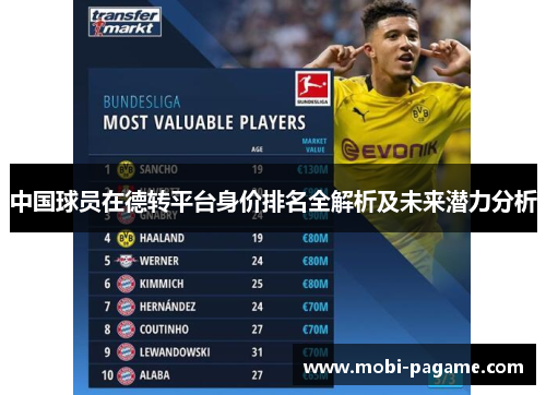 中国球员在德转平台身价排名全解析及未来潜力分析
