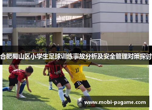 合肥蜀山区小学生足球训练事故分析及安全管理对策探讨