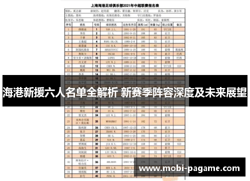 海港新援六人名单全解析 新赛季阵容深度及未来展望