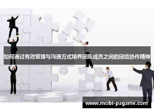 如何通过有效管理与沟通方式培养团队成员之间的团结协作精神