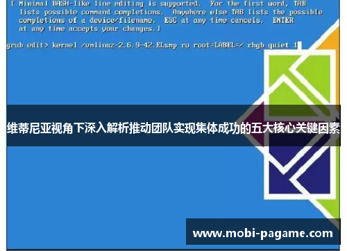 维蒂尼亚视角下深入解析推动团队实现集体成功的五大核心关键因素