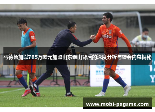 马德鲁加以765万欧元加盟山东泰山背后的深度分析与转会内幕揭秘