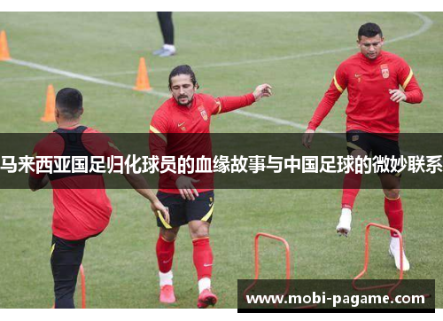 马来西亚国足归化球员的血缘故事与中国足球的微妙联系