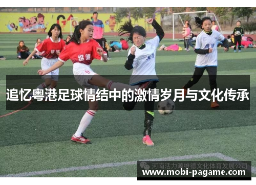 追忆粤港足球情结中的激情岁月与文化传承 追忆粤港足球情结中的激情岁月与文化传承