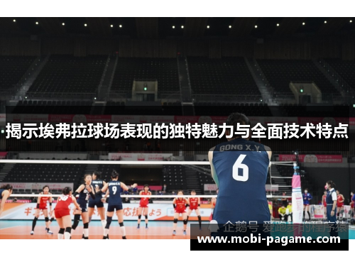 揭示埃弗拉球场表现的独特魅力与全面技术特点