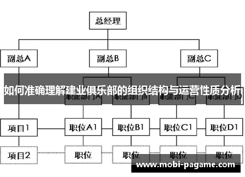 如何准确理解建业俱乐部的组织结构与运营性质分析