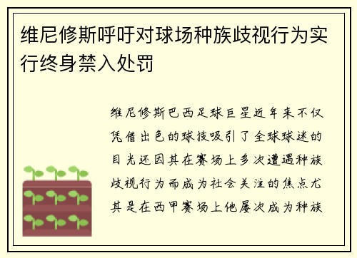 维尼修斯呼吁对球场种族歧视行为实行终身禁入处罚