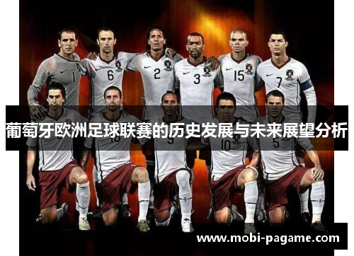 葡萄牙欧洲足球联赛的历史发展与未来展望分析 葡萄牙欧洲足球联赛的历史发展与未来展望分析