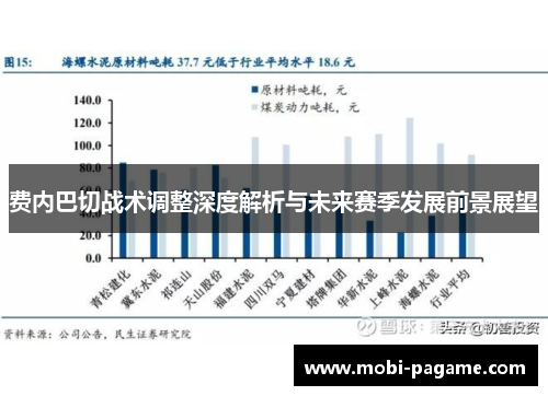 费内巴切战术调整深度解析与未来赛季发展前景展望
